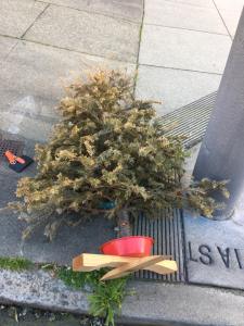 16708452_10210054185005927_4937426111496540449_n1