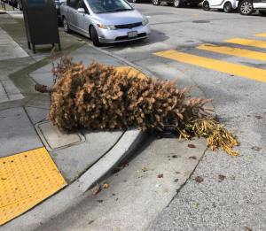 16807519_10155068562759036_2230827505005553428_n