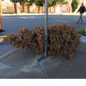 16939450_10155095422659036_5570626036813938029_n